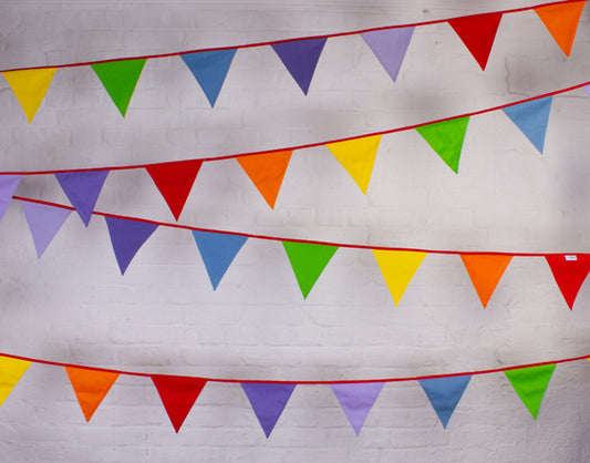 Multi-Coloured Bunting